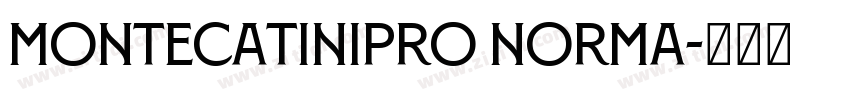 MontecatiniPro Norma字体转换